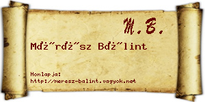Mérész Bálint névjegykártya